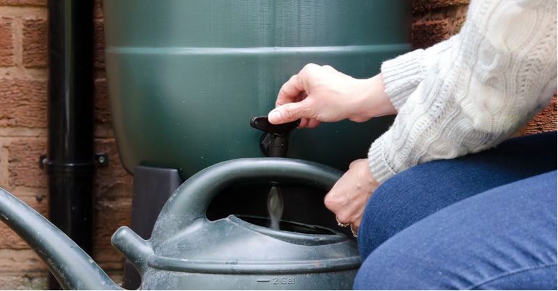 With so much rain in the Uk, it makes sense to collect and use rainwater for watering plants. In this review, we look at the best water butts from 100L to 350L