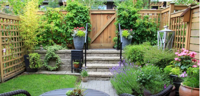 Many homes have small gardens so in this guide we look at some of the best plants for a small urban garden from perennials and shrubs to ferns, bamboo and trees