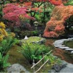 We love Japanese gardens and you can build your own and it only takes a small part of your garden. Follow our tips on how to make a Japanese garden.