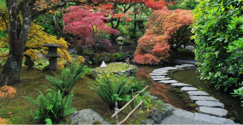 We love Japanese gardens and you can build your own and it only takes a small part of your garden. Follow our tips on how to make a Japanese garden.