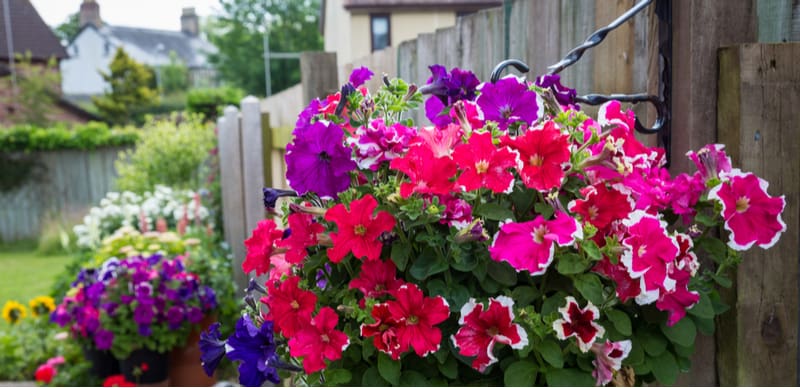 How to secure hanging baskets securely