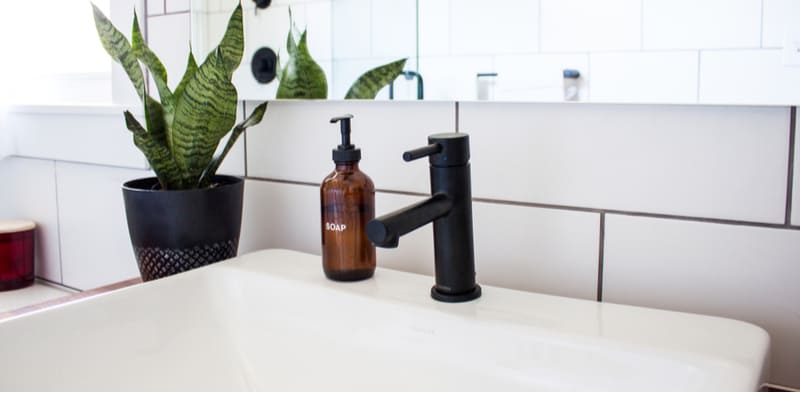 best plants for the bathroom. Why not improve your bathroom vibe with one of the best plants for your bathroom which are perfect for high humidity. See our 20 recommended bathroom plants