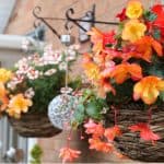 How to stop hanging baskets drying out