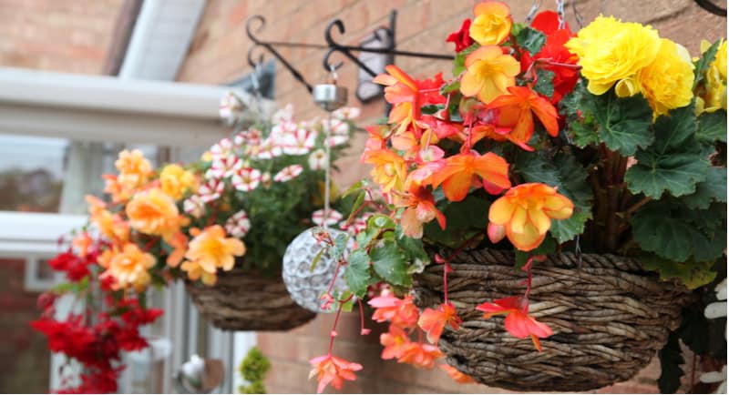 How to stop hanging baskets drying out