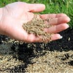 With so many types of grass seed, it can be difficult to choose the right one. Read our buyers guide and see our top 8 picks of the best grass seed. Read reviews