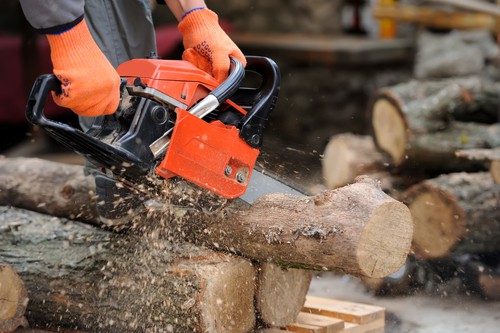 chainsaw buyers guide - professional cutting firewood with petrol chainsaw