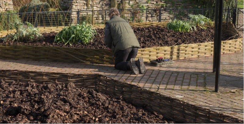 In this guide, we look at how to create and make a garden border from scratch from planning the design, curved edges, straight lines to choosing plants. Learn more