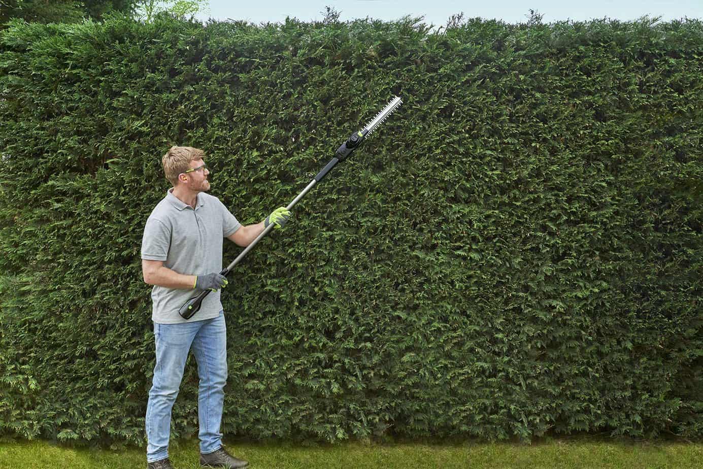 GTech HT 50 Hedge Trimmer Review Updated for 2022 Pyracantha.co.uk