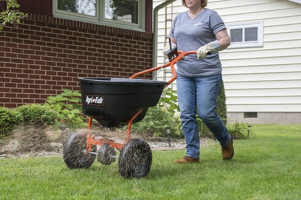 Lawn spreader being used to apply lawn weed, feed & moss killer