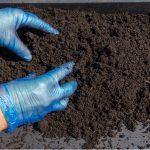 Multipurpose compost comes in many grades of quality and many are not worth using, we recommend 5 of the best multi-purpose compost with added nutrients.