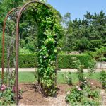 Best arbour arch reviews
