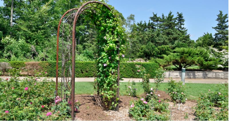6 Best Garden Arbour And Arches Review, Verdigris Metal Garden Arch With Gates