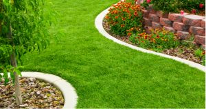 Lawn edging products come in many forms but we focus on 6 products that are easy to install and you can get set up within a day. see the best lawn edging ideas.