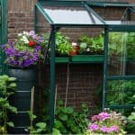 In this guide, we look at some of the best mini greenhouses from affordable starter models to premium reinforced glass models for the more serious gardener.