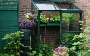 In this guide, we look at some of the best mini greenhouses from affordable starter models to premium reinforced glass models for the more serious gardener.