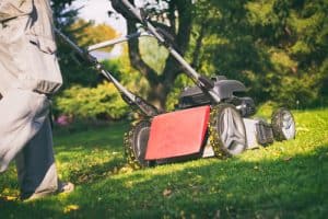 Choosing a mulching mower