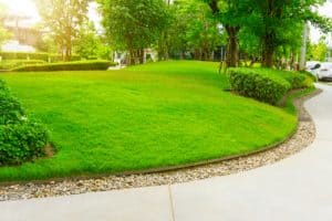 Lawn edging buyers guide