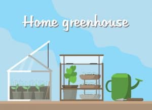 Mini greenhouse guide