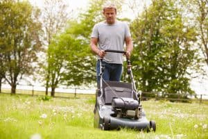 Professional lawn mower cutting grass and collecting