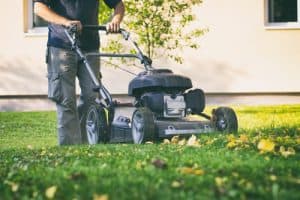 Professional using dedicated mulching mower