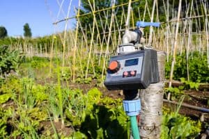 Best Automatic Watering Systems