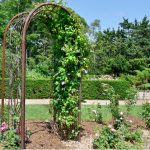 Best garden arch reviews