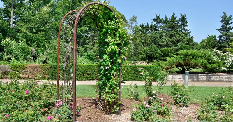 6 Best Garden Arches Top Picks, How To Secure A Metal Garden Arch In The Ground
