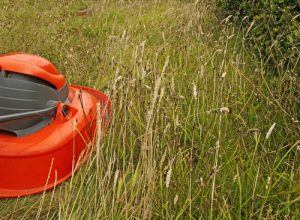 Electric hover mower mowing long grass