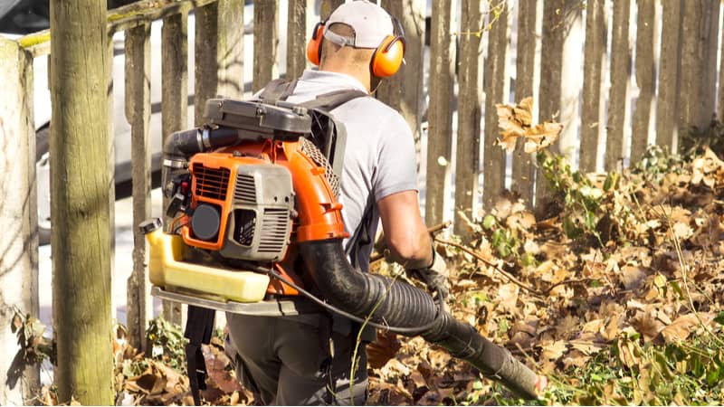 We look at some top-rated backpack leaf blowers including petrol and even a 56v cordless model. Read our reviews and compare 6 of the best backpack leaf blowers