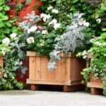 Best wooden planter ideas
