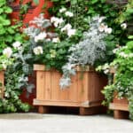 Best wooden planter ideas