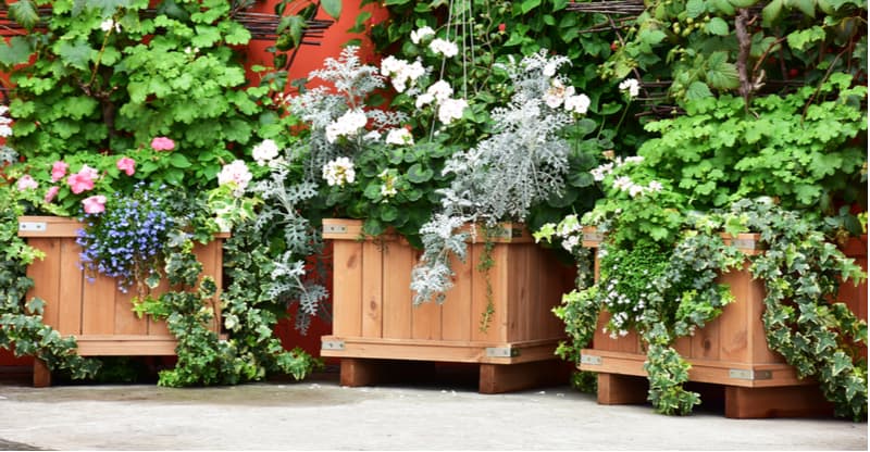 Best wooden planter ideas