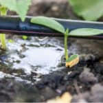 Best greenhouse watering systems