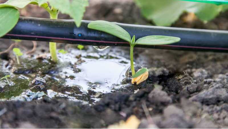 Best greenhouse watering systems