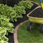 Not all garden shovels are created equal and with so many different designs which one do, you need. Read our reviews to help you decide which is best for you.