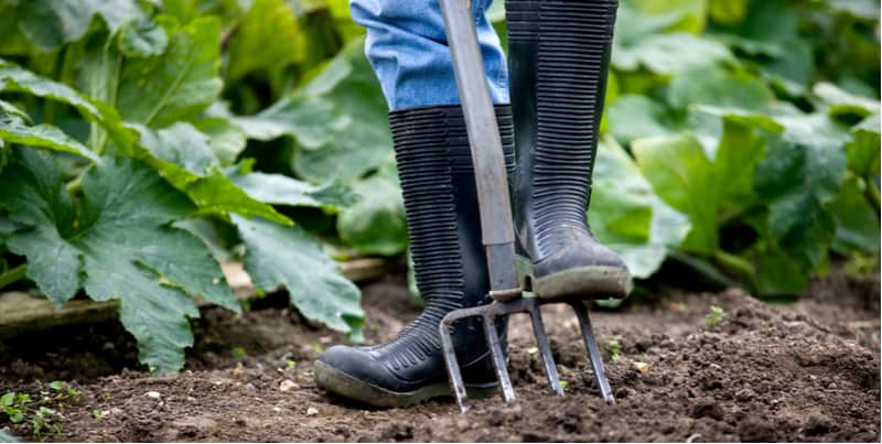 Best wellies for gardening