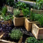 Best herb planters and comparison