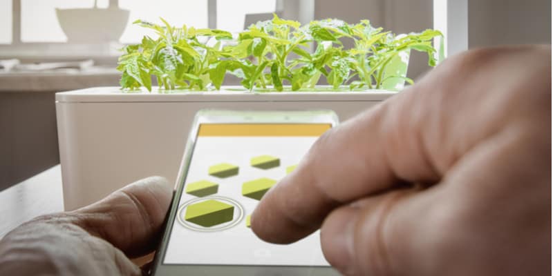 Gorwing herns and vegetables just hot easier and smarter. Plus they can be grown indoors too.