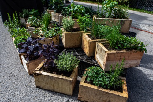 A selection of the best herb planters