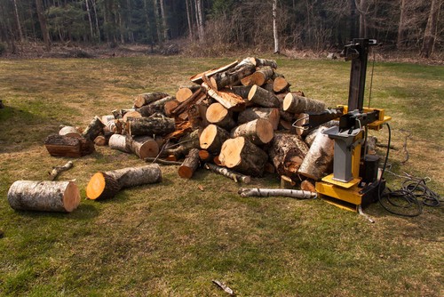 Types of wood that log splitters can split