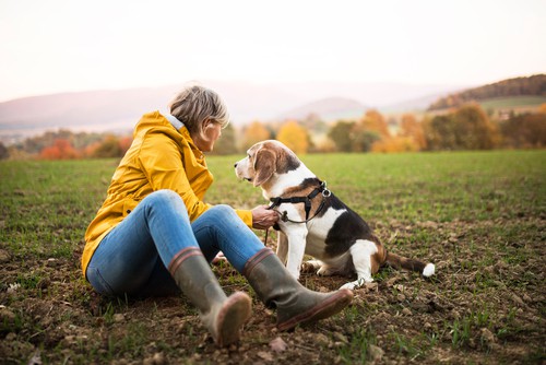 Woman walking dog with a good quality pair of wellies on