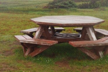 In this guide we looked at some of the best garden picnic benches and tables comparing timber quality, size as well as build quality