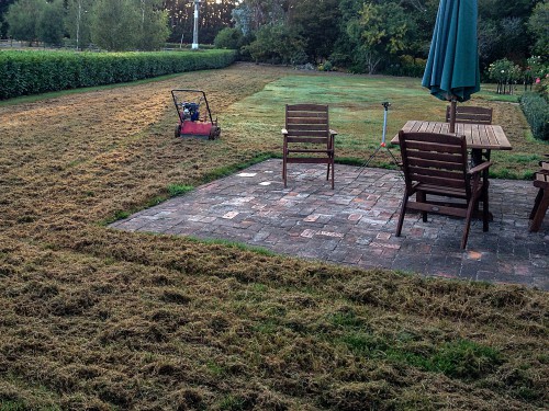 Lawn used scarified in autumn