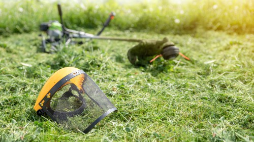 Strimmer cutting head