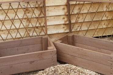 The best trellis planters to buy. we compare the designs, materials of different planters available