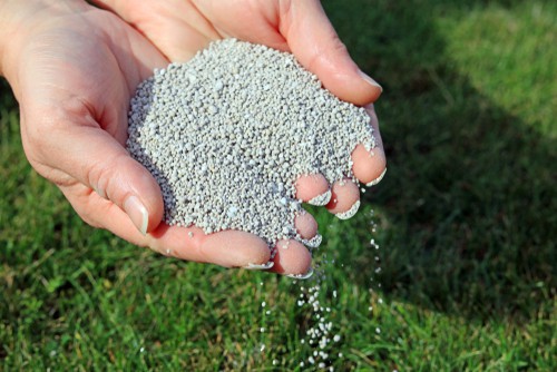 Handful Of Fertilizer Granules Used On Grass Lawns