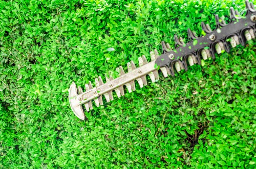 Hedge trimmer blade close up