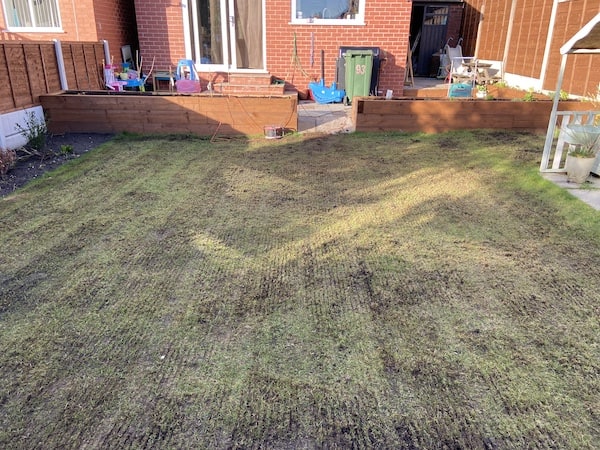 Lawn after scarifying with the Bosch AVR 1100 Verticutter Lawnraker