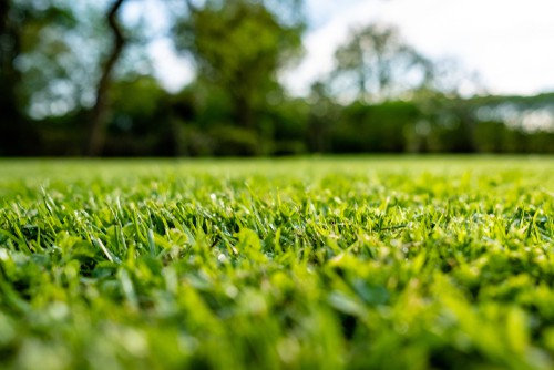 Lawn hardened off using lawn feed