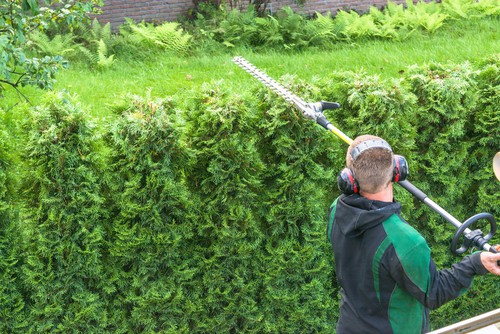 Telescopic hedge trimmer in testing